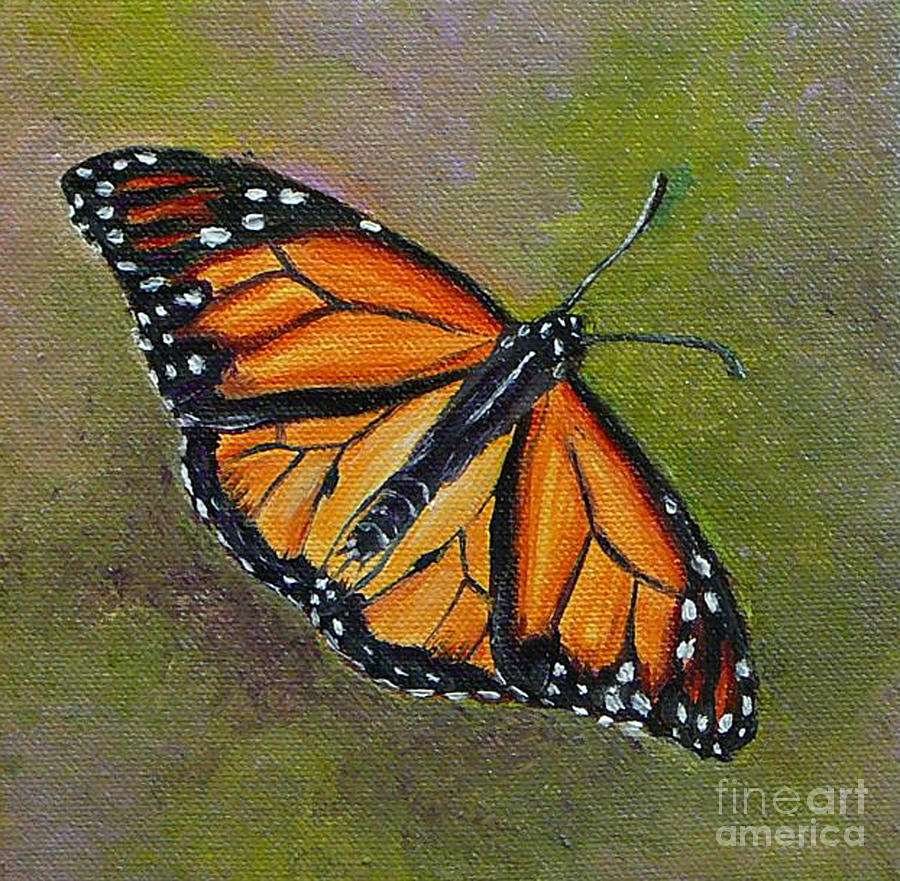 Butterfly Painting - Butterfly by Gayle Utter