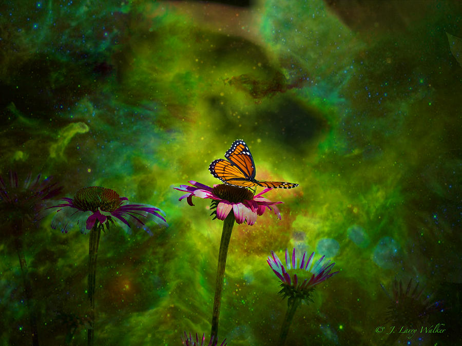 Butterfly In An Ethereal World Digital Art by J Larry Walker