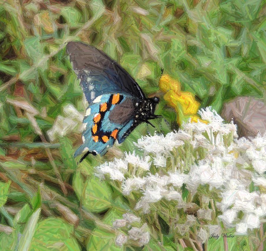 Butterfly in Color Pencil Photograph by Judy Waller - Fine Art America