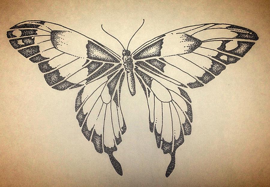 Butterfly In Dots Drawing By Noah Babcock