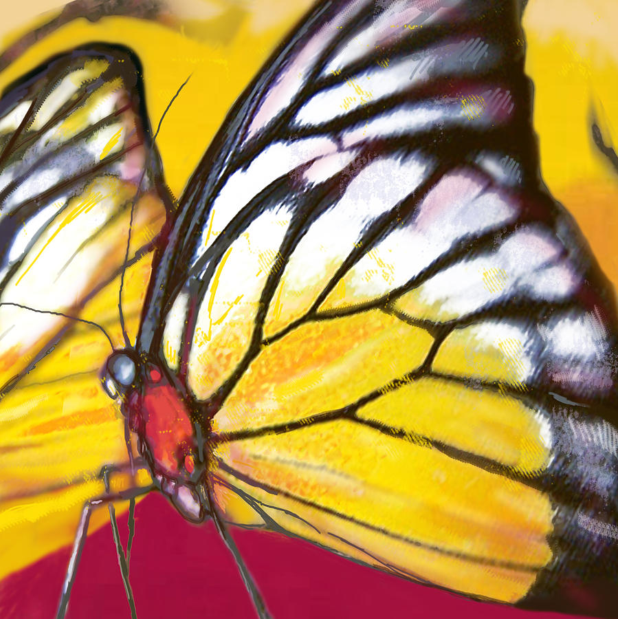 Butterfly Insect Stylised Pop Art Drawing Potrait Poser Drawing by