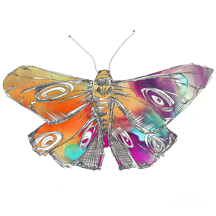 Butterfly Digital Art by Justyna Jaszke JBJart