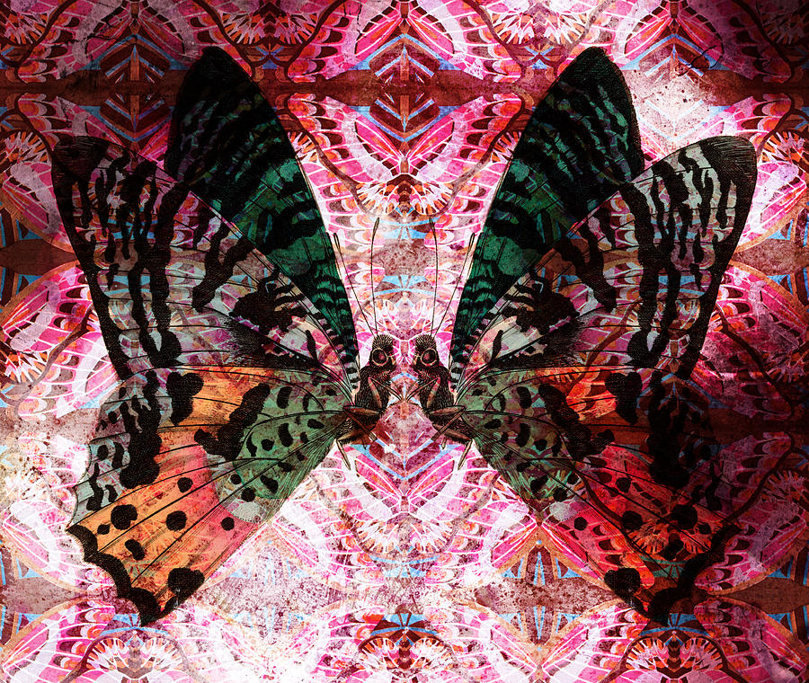 Butterfly Kaleidoscope Digital Art by Kyle Hanson