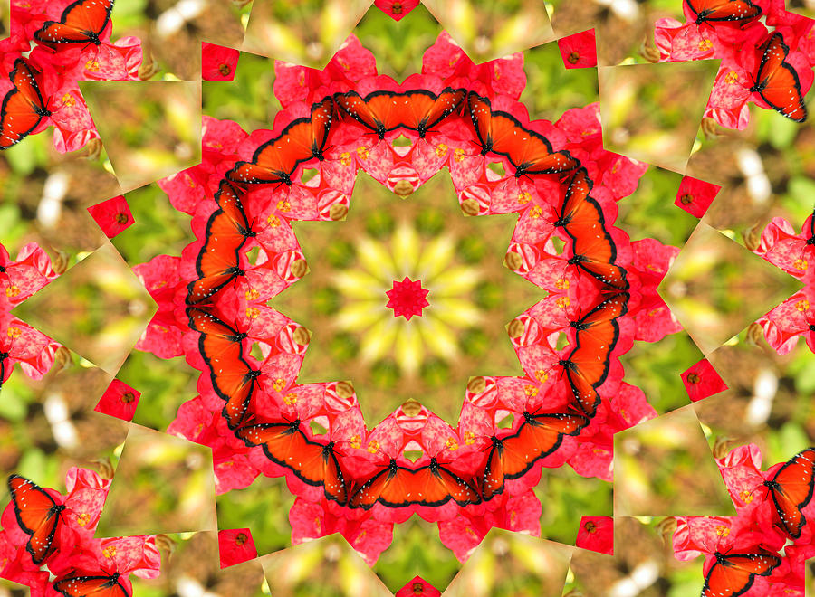 Butterfly Kaleidoscope Digital Art by Rosalie Scanlon
