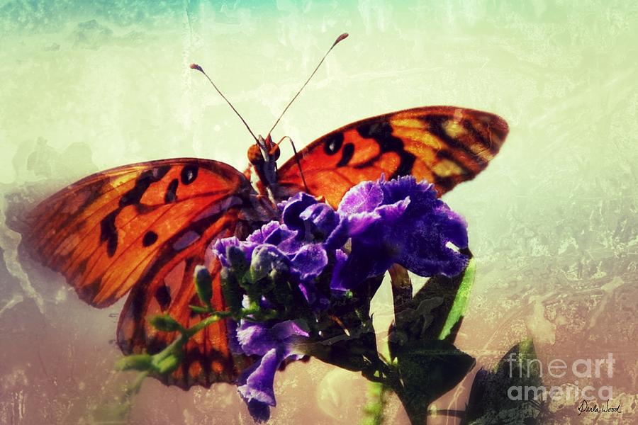 Butterfly Kissed Photograph by Darla Wood