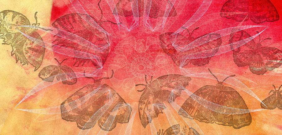 Butterfly Letterpress Watercolor Digital Art by Kyle Hanson
