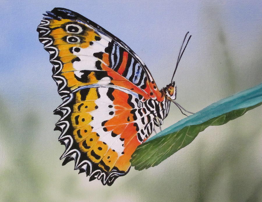 Butterfly Painting - Butterfly by Lillian  Bell