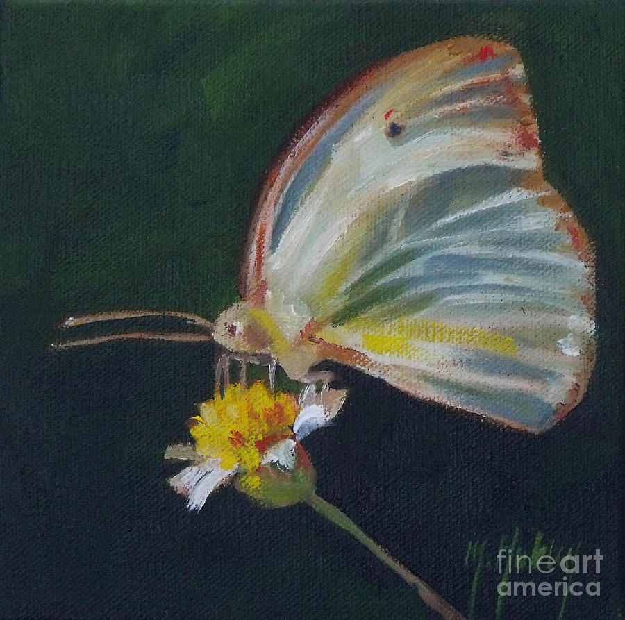 Butterfly Painting by Mary Hubley