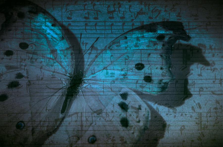 Butterfly Midnight Symphony Photograph by Marianna Mills
