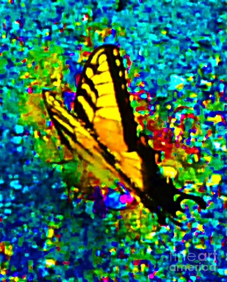 Butterfly Mosaic Digital Art by Tamara Michael