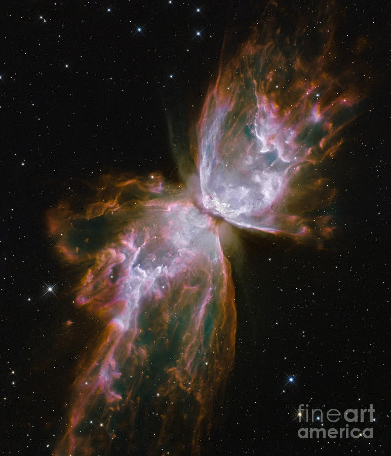 Space Photograph - Butterfly Nebula Ngc 6302 by Science Source