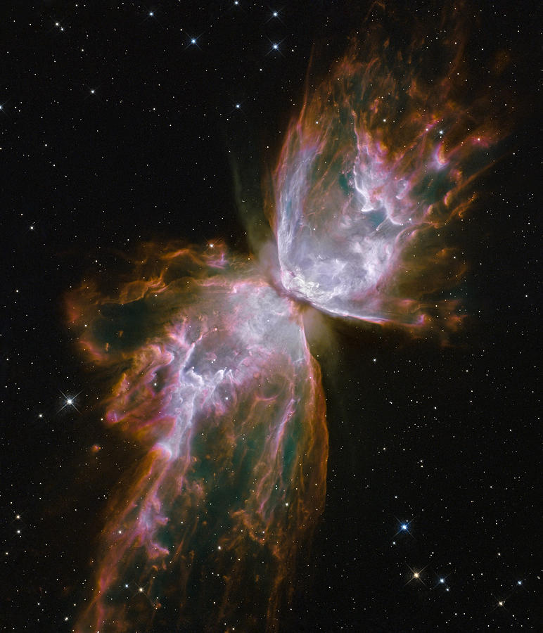 Interstellar Photograph - Butterfly Nebula by Georgia Clare
