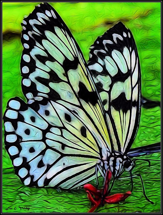 Butterfly on A Lily Pad Painting by Jon Volden