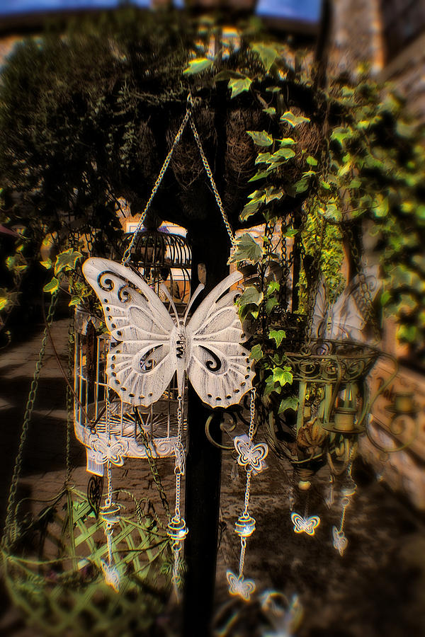 Butterfly On A Victorian Street Light - Peak District - England Photograph by Doc Braham