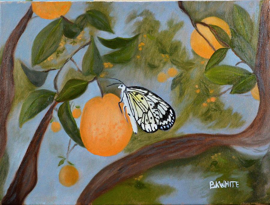 Butterfly on an orange Painting by Brian White