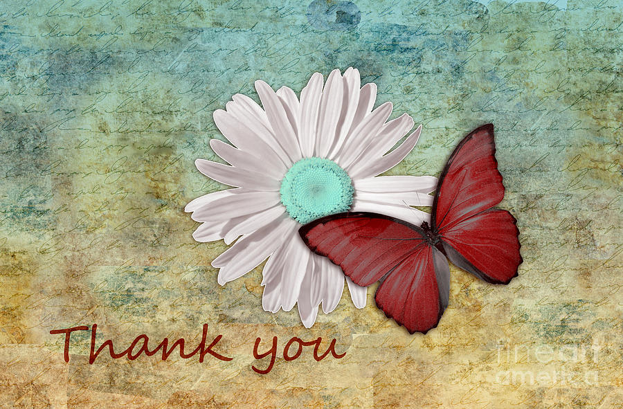 Butterfly on Daisy - Thank You Card Digital Art by Aimelle Ml