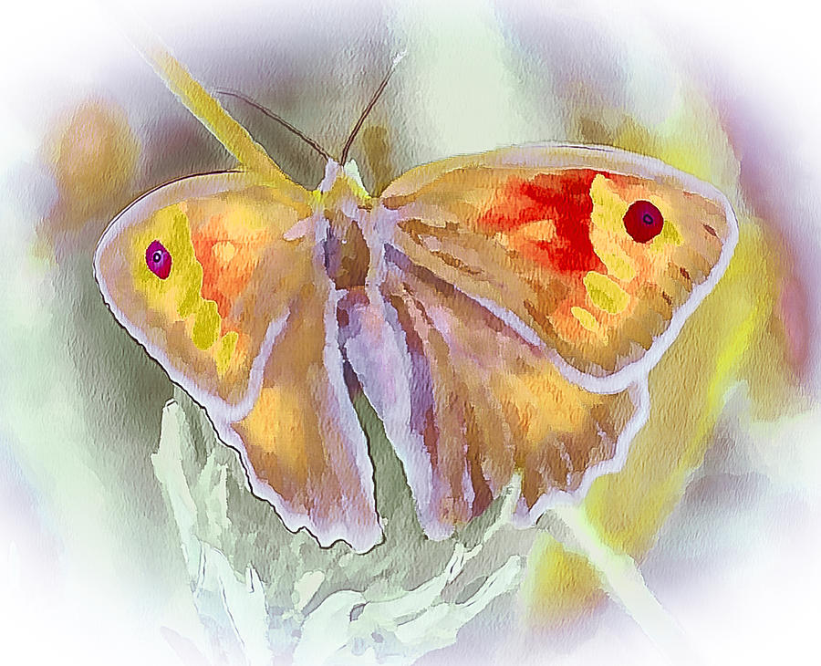 Butterfly on Flower 2 Digital Art by Yury Malkov