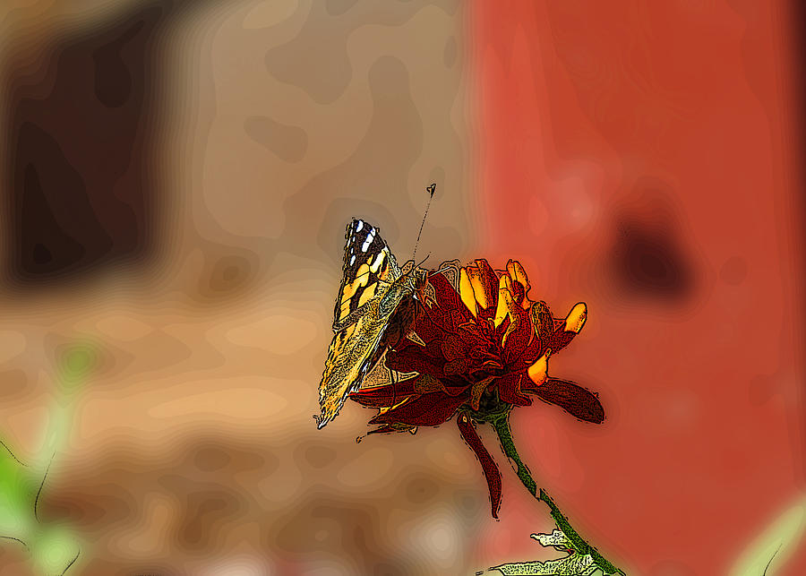 Butterfly On Flower Digital Art by Kathleen Illes