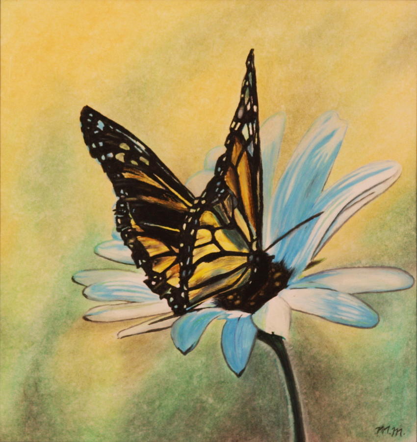 Butterfly on Flower Drawing by Michelle Miron-Rebbe