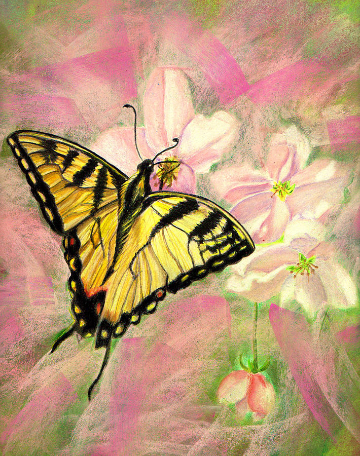 Flower Mixed Media - Butterfly on Flowers by Jay Johnston