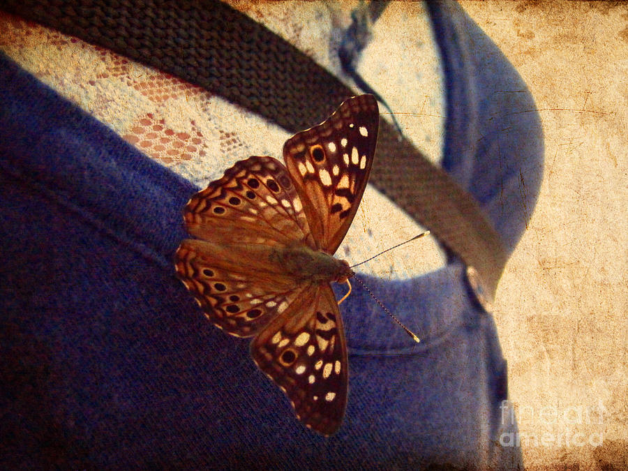 Butterfly Photograph - Butterfly on Jess by Karisa Kauspedas