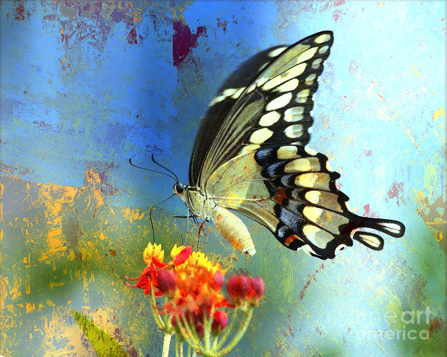 Butterfly on Milkweed Textured Photograph by Luana K Perez