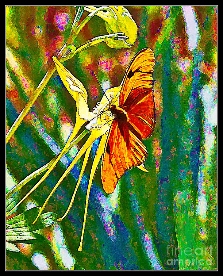 Butterfly on Yellow-Original Digital Art by Randy Jackson
