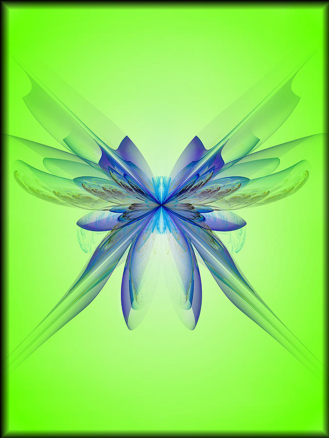 Butterfly Orchid Digital Art