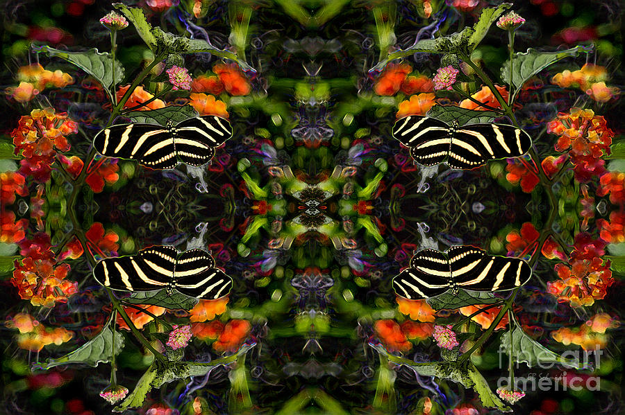 Butterfly Reflections 03 - Zebra Heliconian Digital Art by E B Schmidt
