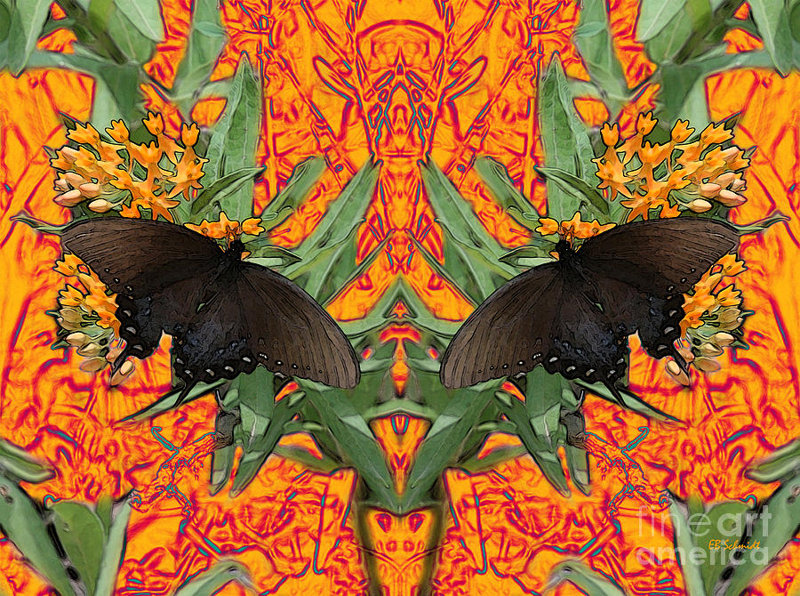 Butterfly Reflections 06 - Spicebush Swallowtail Digital Art by E B Schmidt