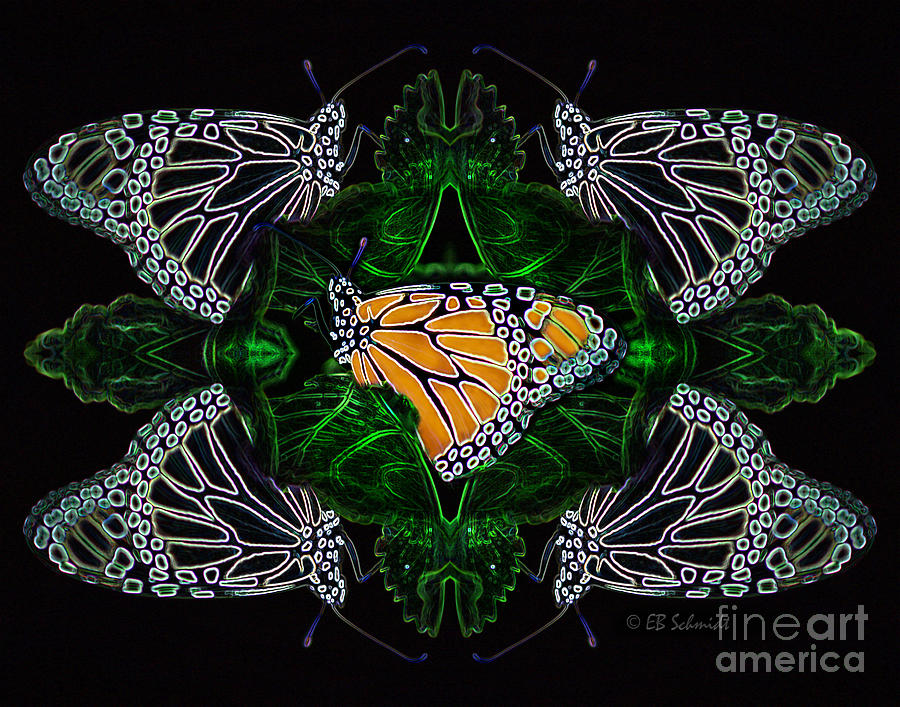 Butterfly Reflections 07 - Monarch Digital Art by E B Schmidt