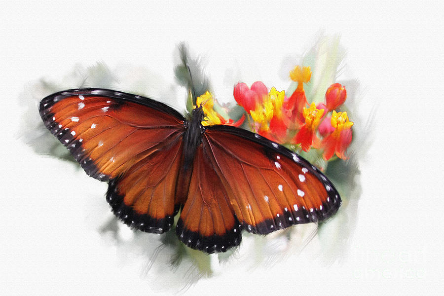 Butterfly Digital Art - Butterfly by Roger Lighterness
