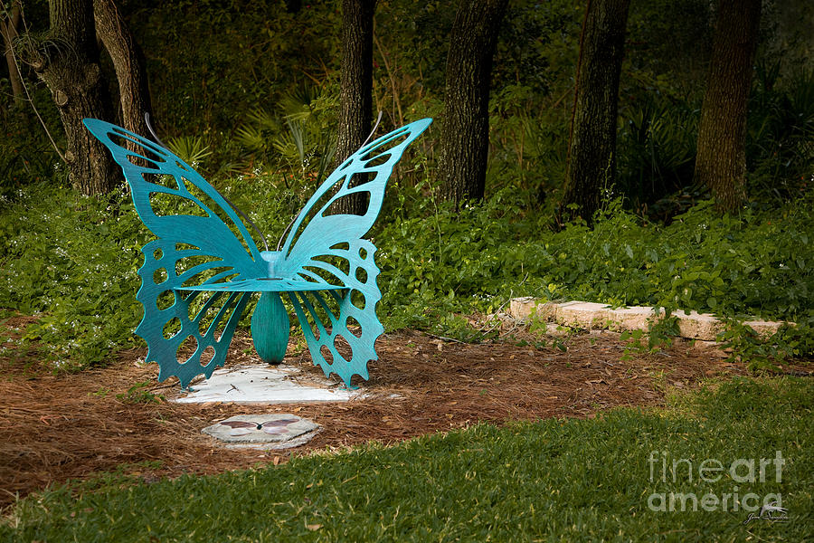 Butterfly Photograph - Butterfly Seat in Park Saint Petersburg Florida by Jim Swallow