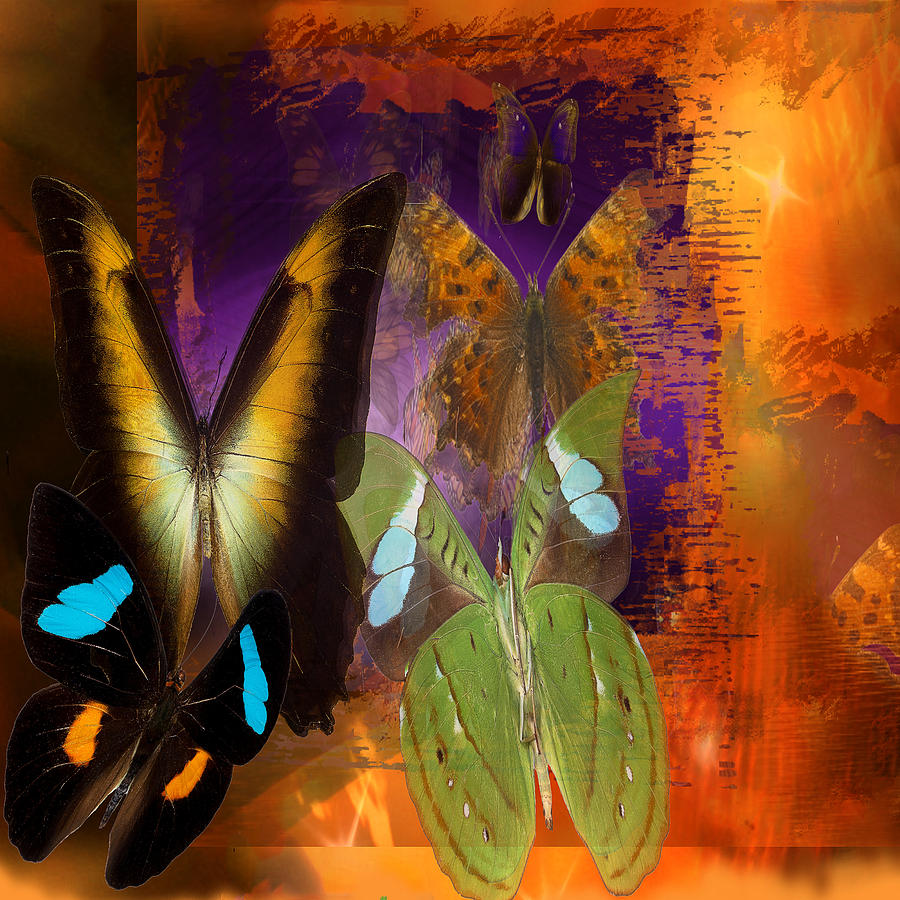 Butterflies Shadow Digital Art