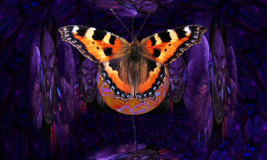 Butterfly Source Digital Art