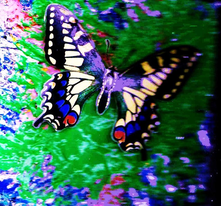 Butterfly Painting - Butterfly Stay With Me by Anne-Elizabeth Whiteway