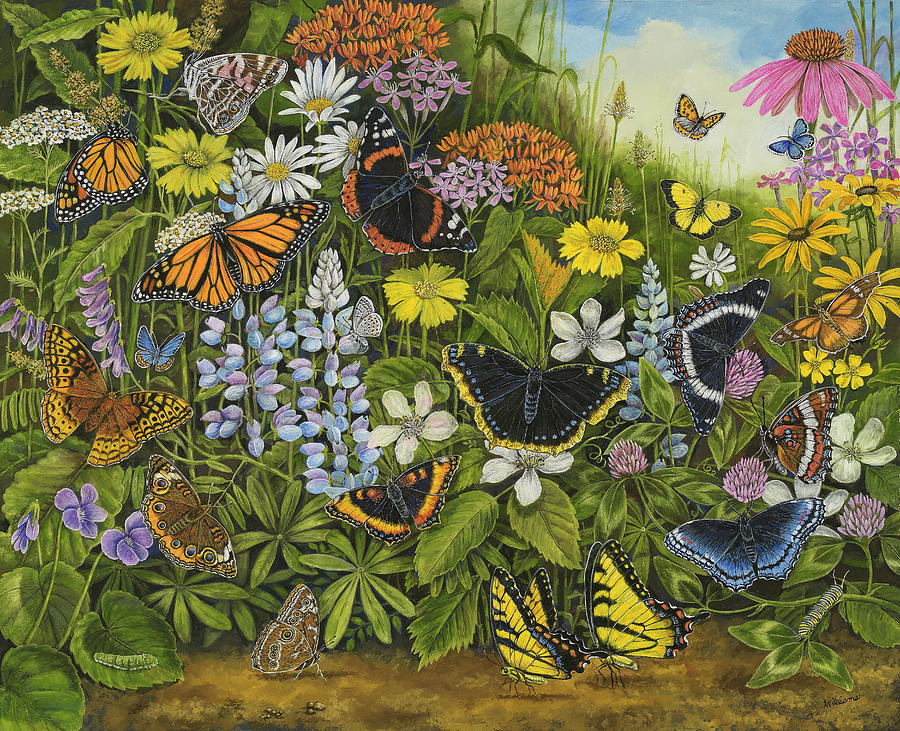 Summer Painting - Butterfly Summer by Sandy Williams