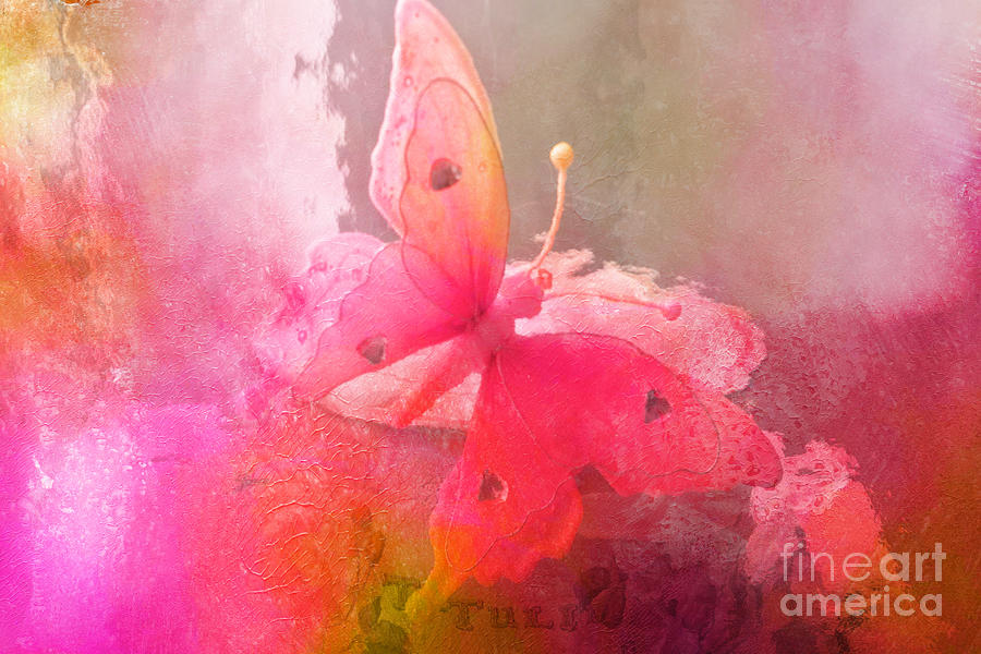 Butterfly Surreal Fantasy Painterly Impressionistic Pink Abstract Butterfly Fine Art  Photograph by Kathy Fornal