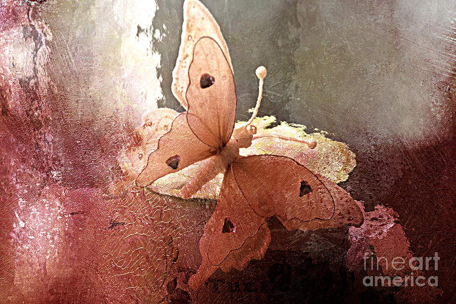 Butterfly Surreal Fantasy Painterly Impressionistic Sepia Abstract Butterfly Wall Decor Photograph by Kathy Fornal