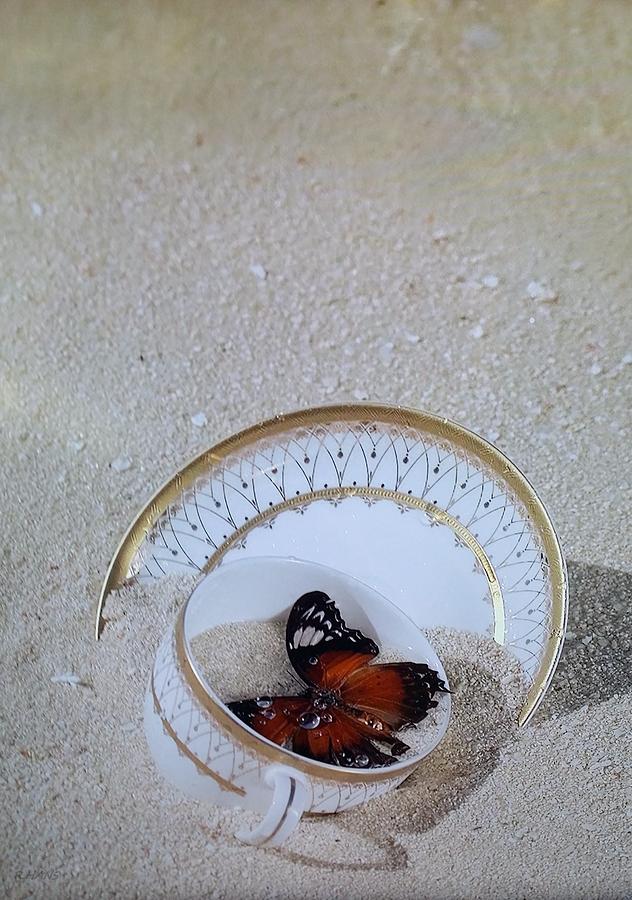Butterfly Teacups On The Beach Photograph