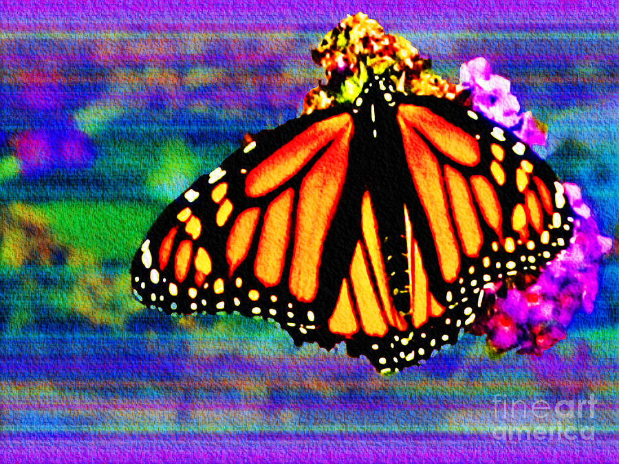 Monarch Butterfly #2 Photograph by Carol F Austin
