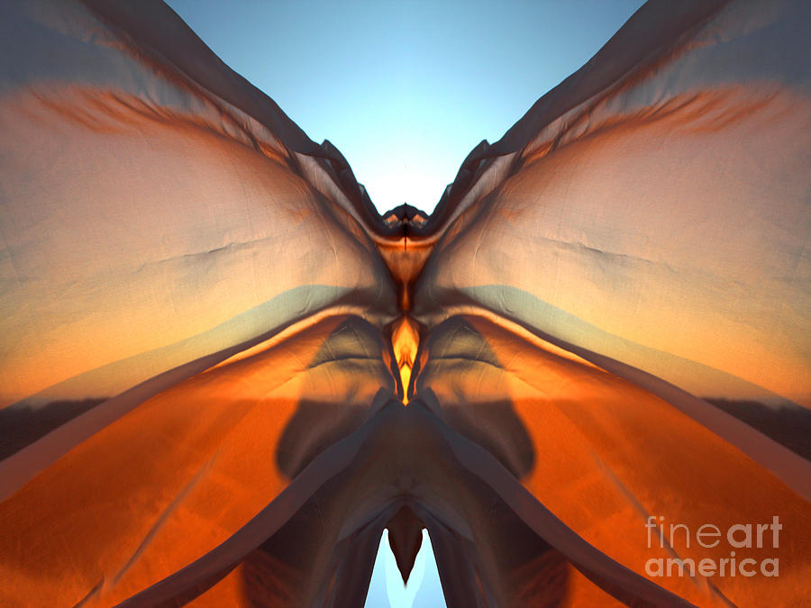Butterfly Wings in the Wind Photograph by Wernher Krutein