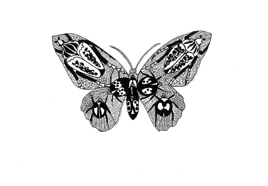 Butterfly With Design Drawing By Petra Stephens