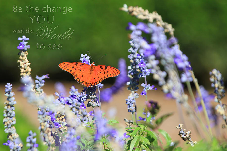 Butterfly with Message Photograph by Mary Buck