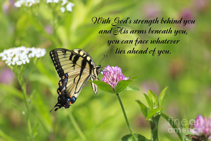 Butterfly Photograph - Butterfly with Religious Quote by Jill Lang