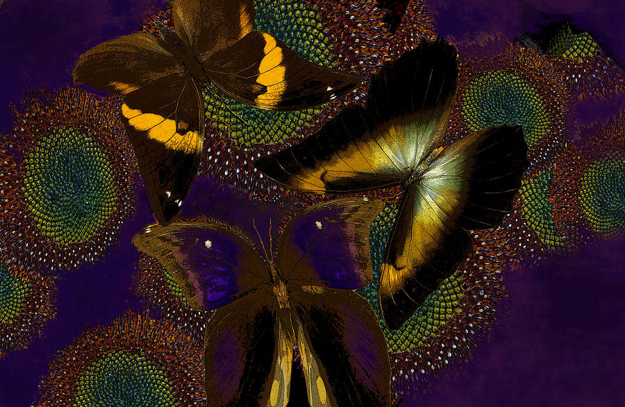 Butterfly Worlds Digital Art