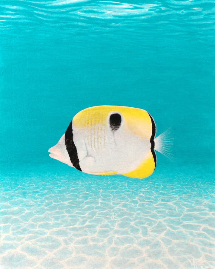 Fish Painting - Butterflyfish Painting - Tropical Fish by Billy Walsh