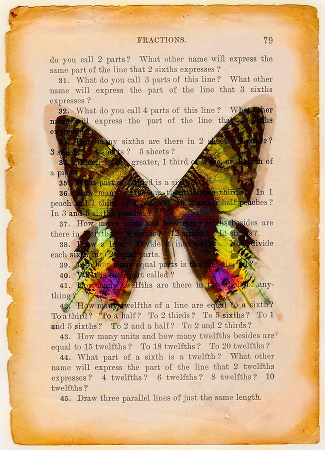 Butterflyrium  Digital Art by Lilia S