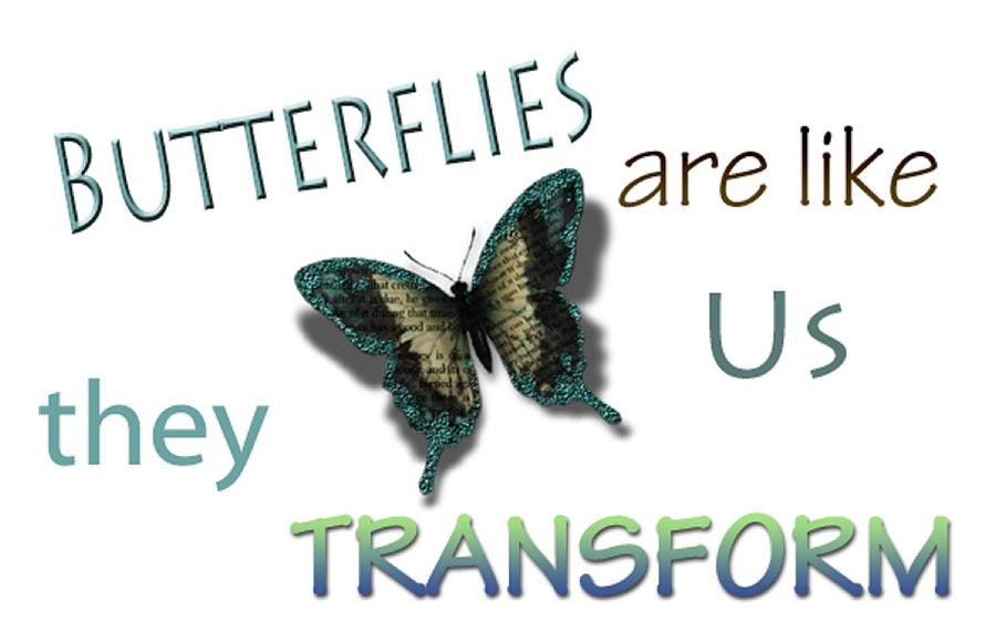 Butterly Song Digital Art by Kelly M Turner
