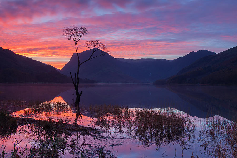 Buttermere Sunrise Photograph by Nick Atkin